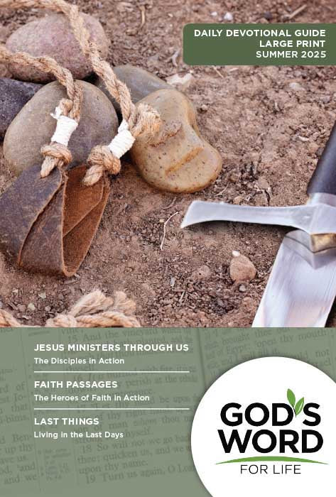 What is 329 Prompts for Bible Devotionals?