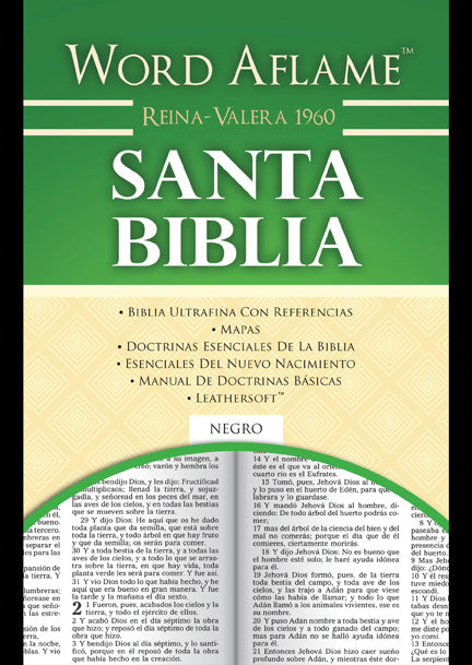 Santa Biblia - Pentecostal Publishing House