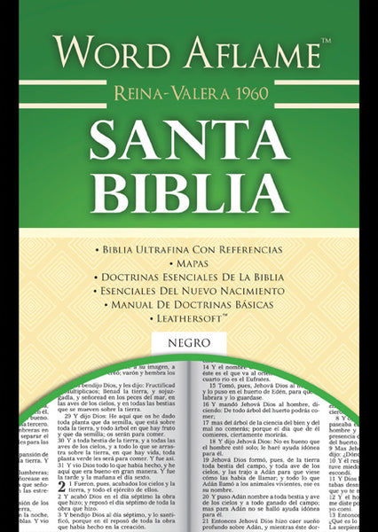 Santa Biblia  Pentecostal Publishing House